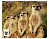 TERRA WWF Mousepad Erdmännchen