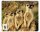 TERRA WWF Mousepad Erdmännchen